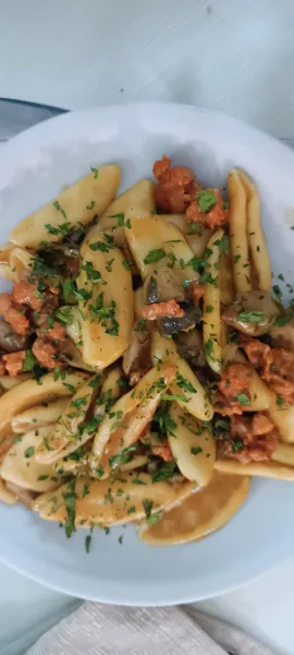 Corteccie Terra Monti