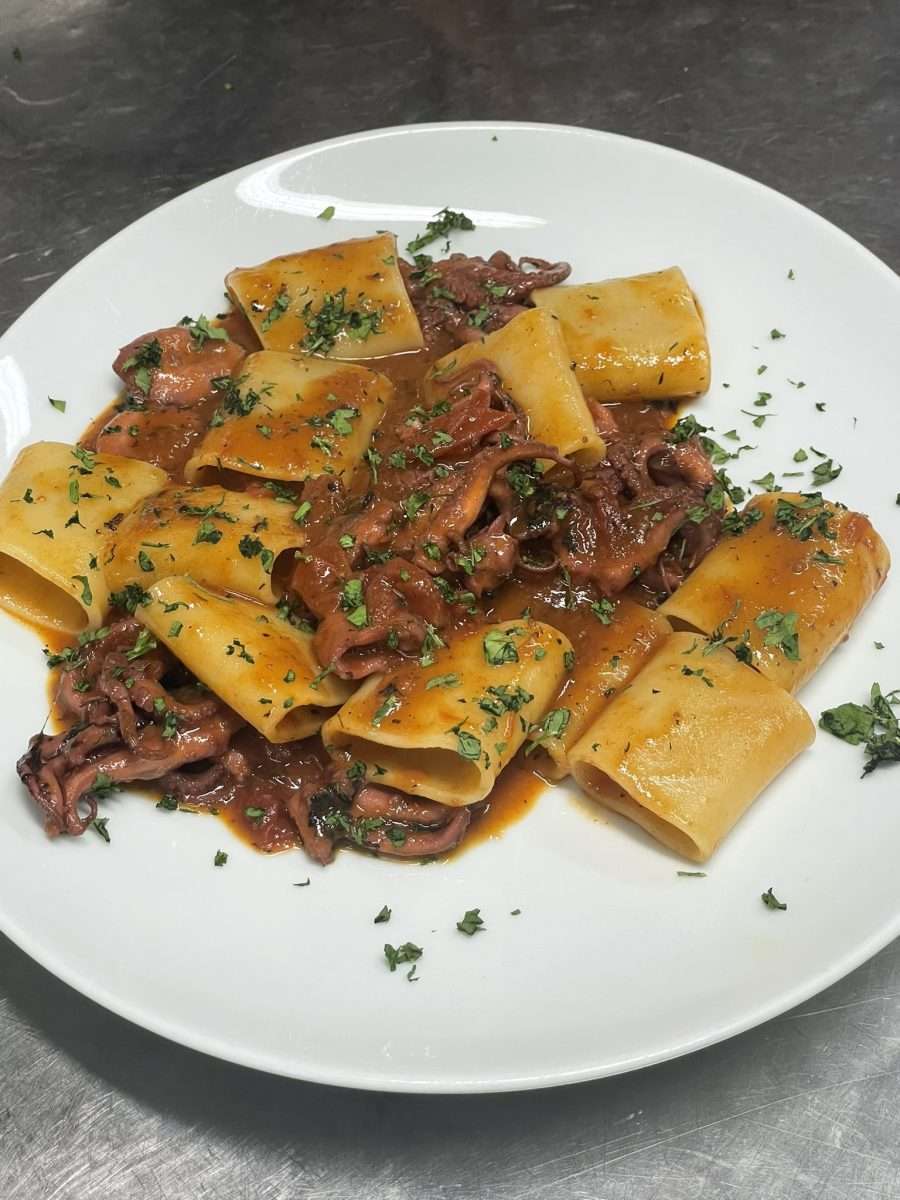 Paccheri con Moscardini