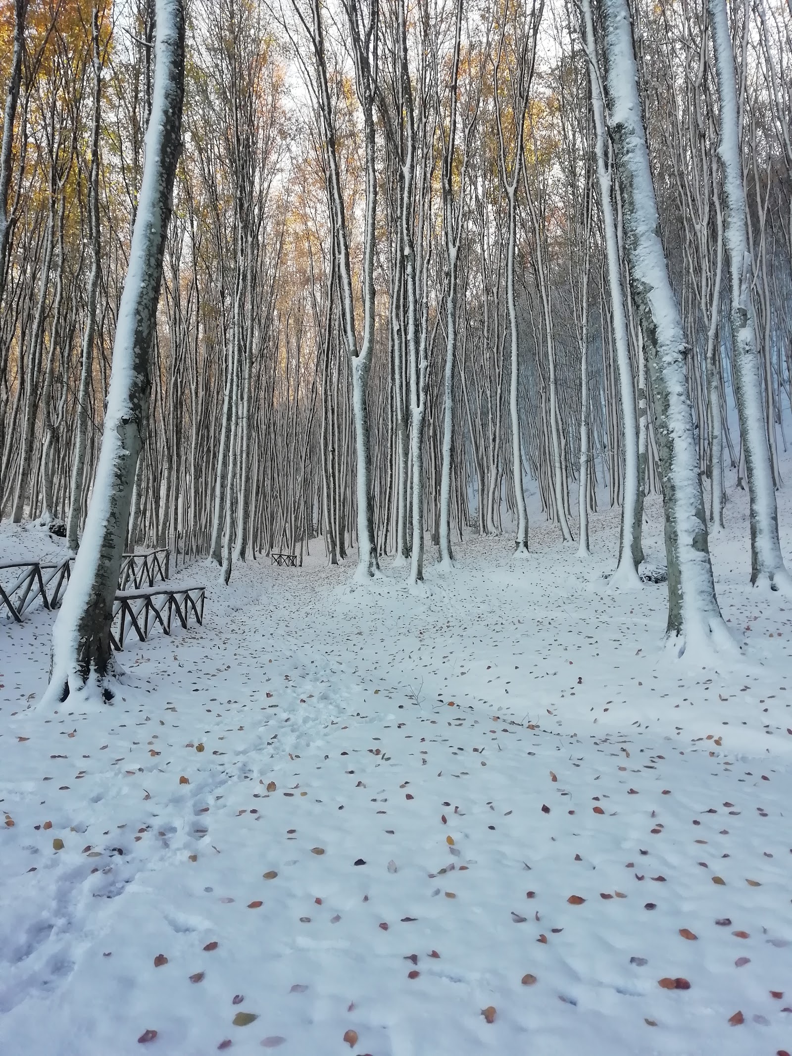 Pozzo di Nitti
