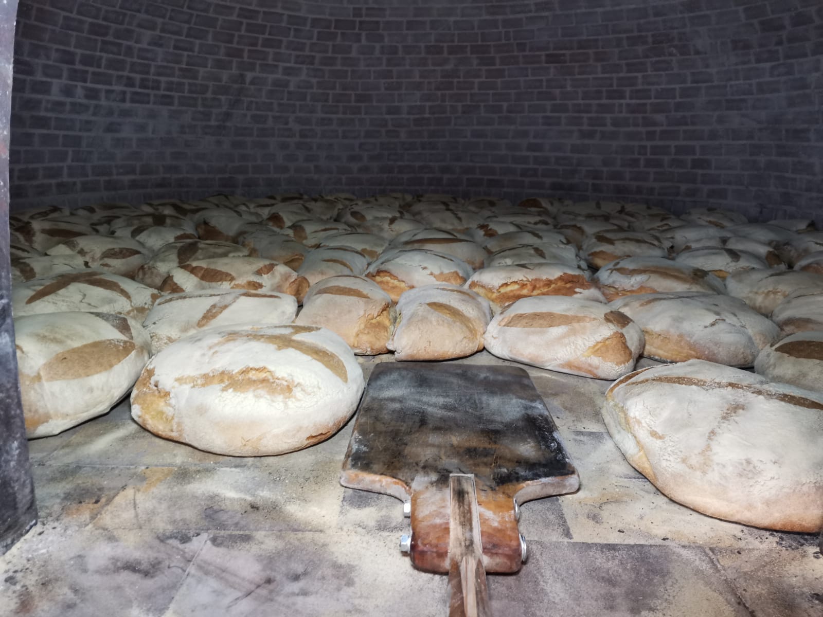 Panificio Fatti con la Farina