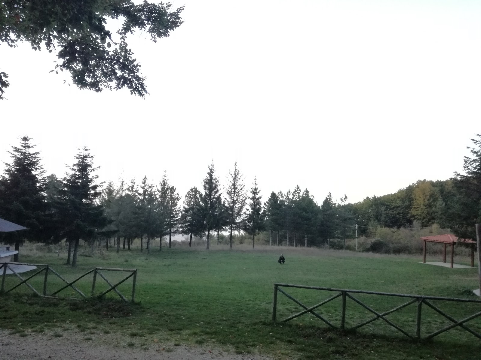 Pozzo di Nitti