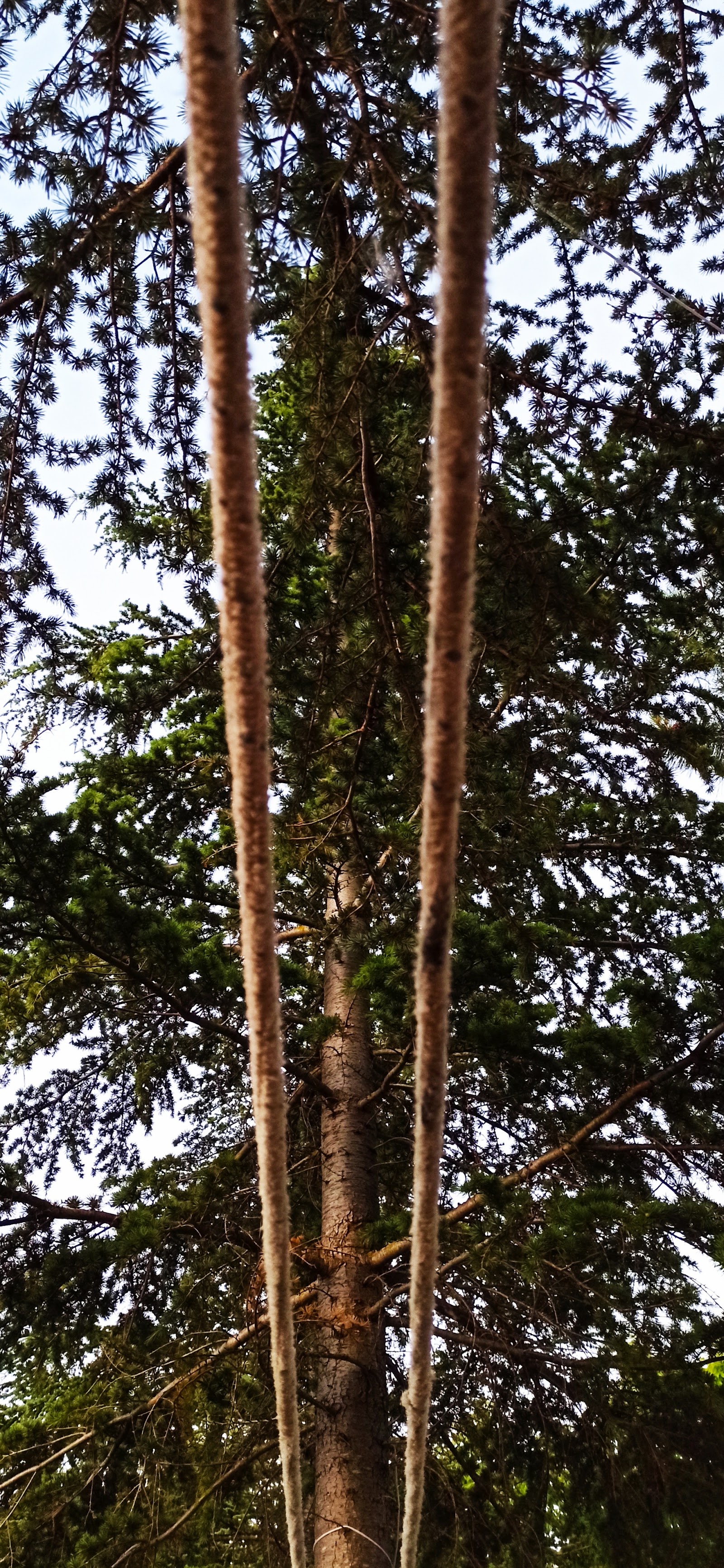 Caffetteria Al Parco