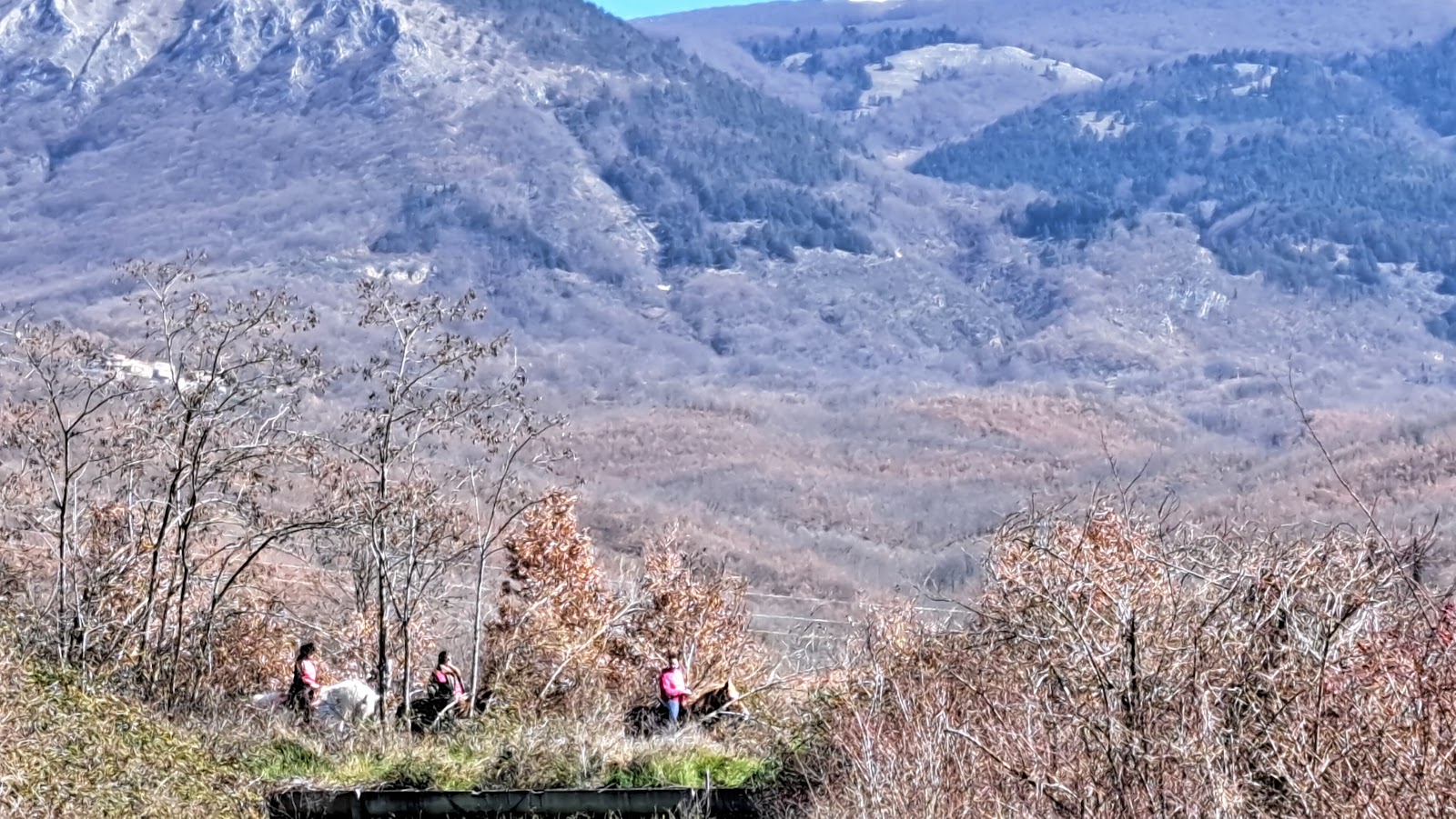 Maneggio Le Sorgive - Agriturismo Vignola