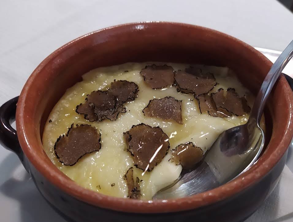 Rotapipla