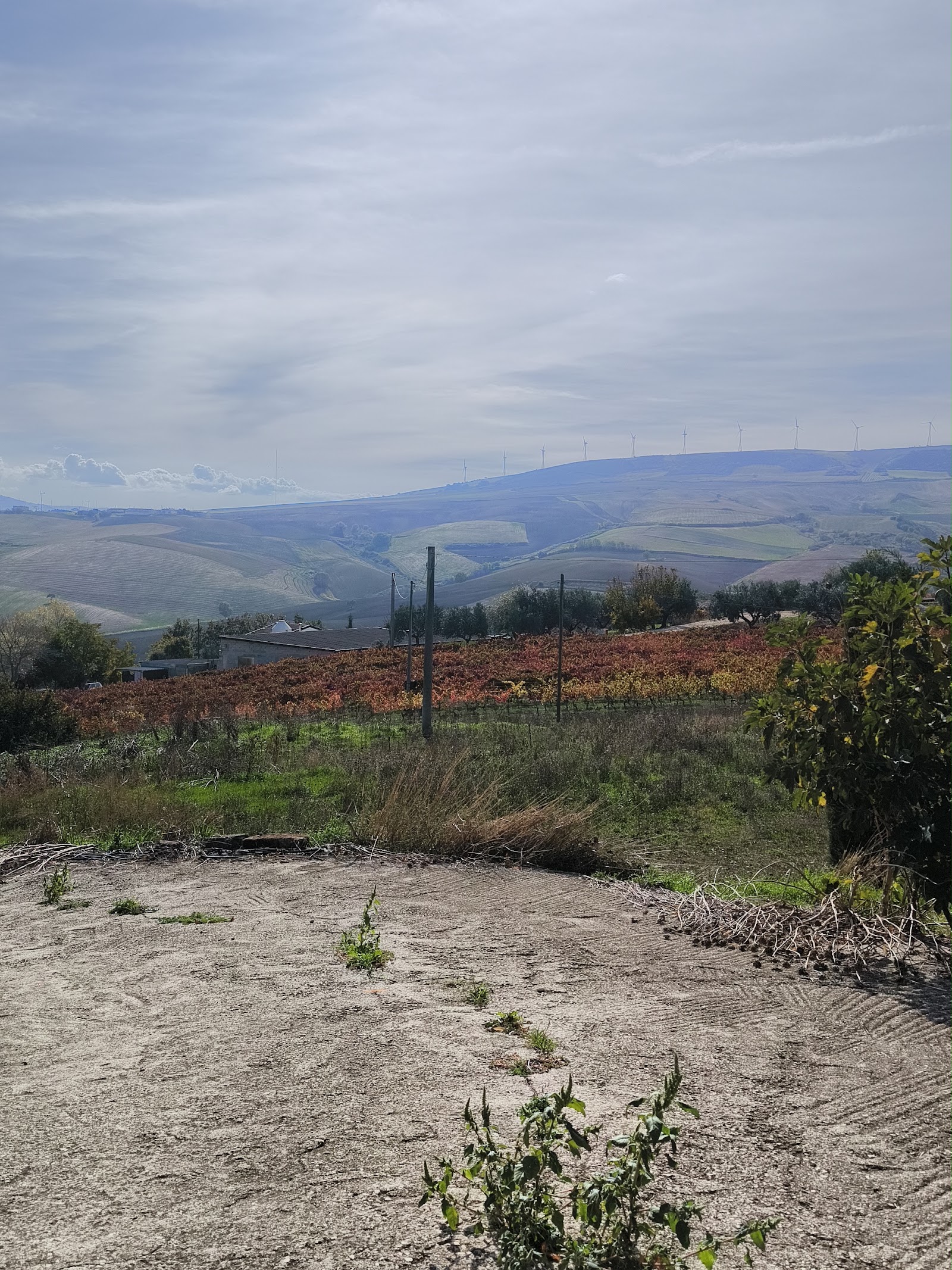 Agriturismo Tenuta San Giovanni