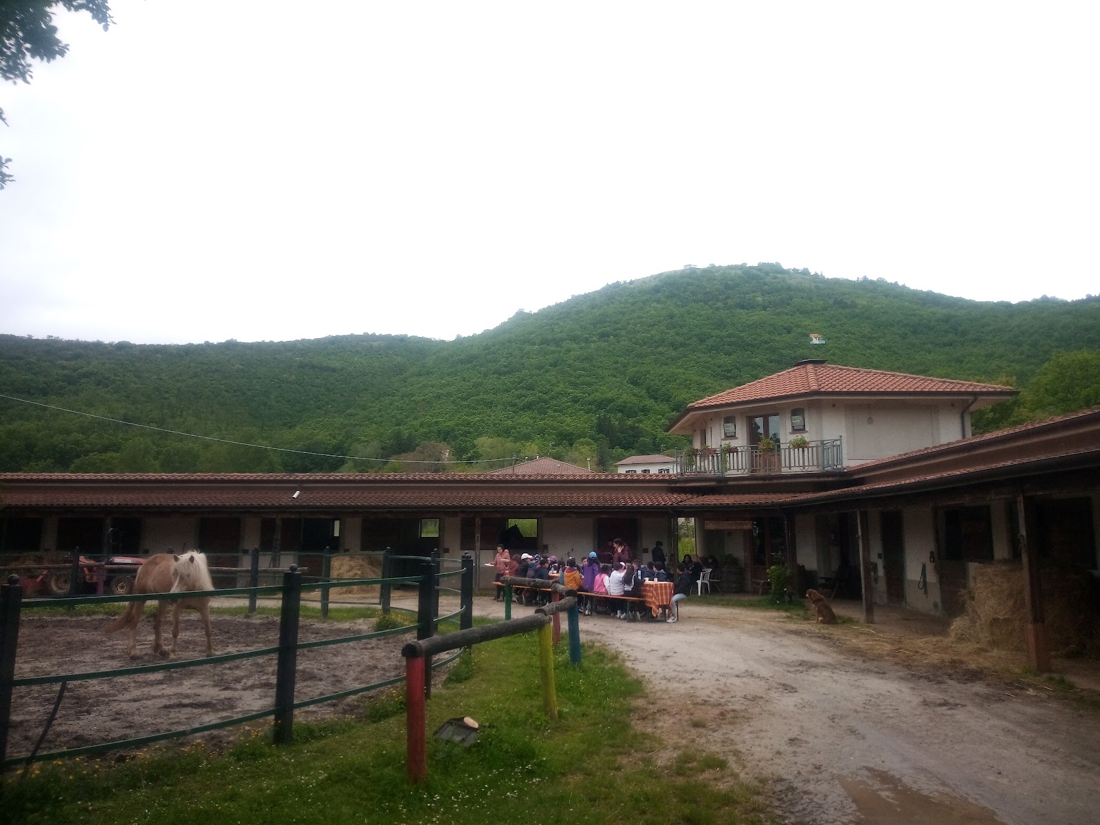 Maneggio Le Sorgive - Agriturismo Vignola