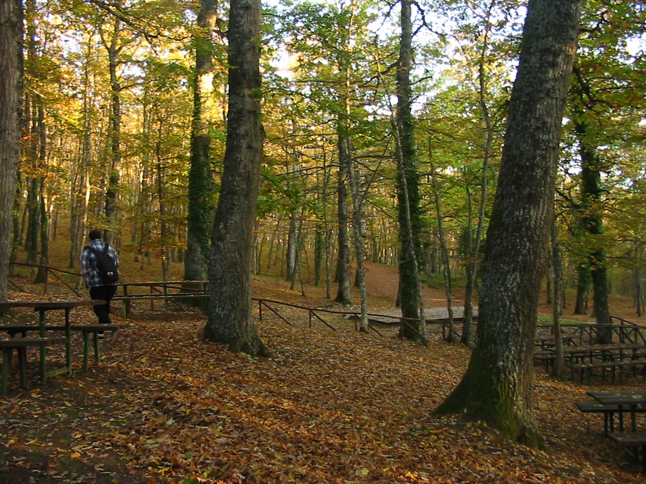 Chalet Acqua del Faggio