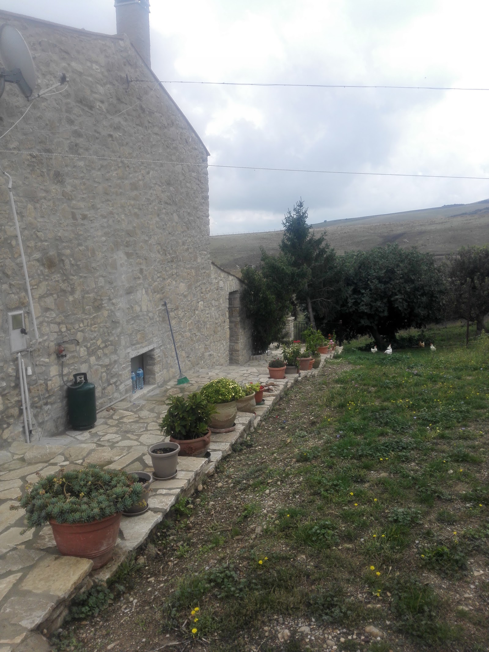 Agriturismo Masseria Brienza ( Senza Glutine).