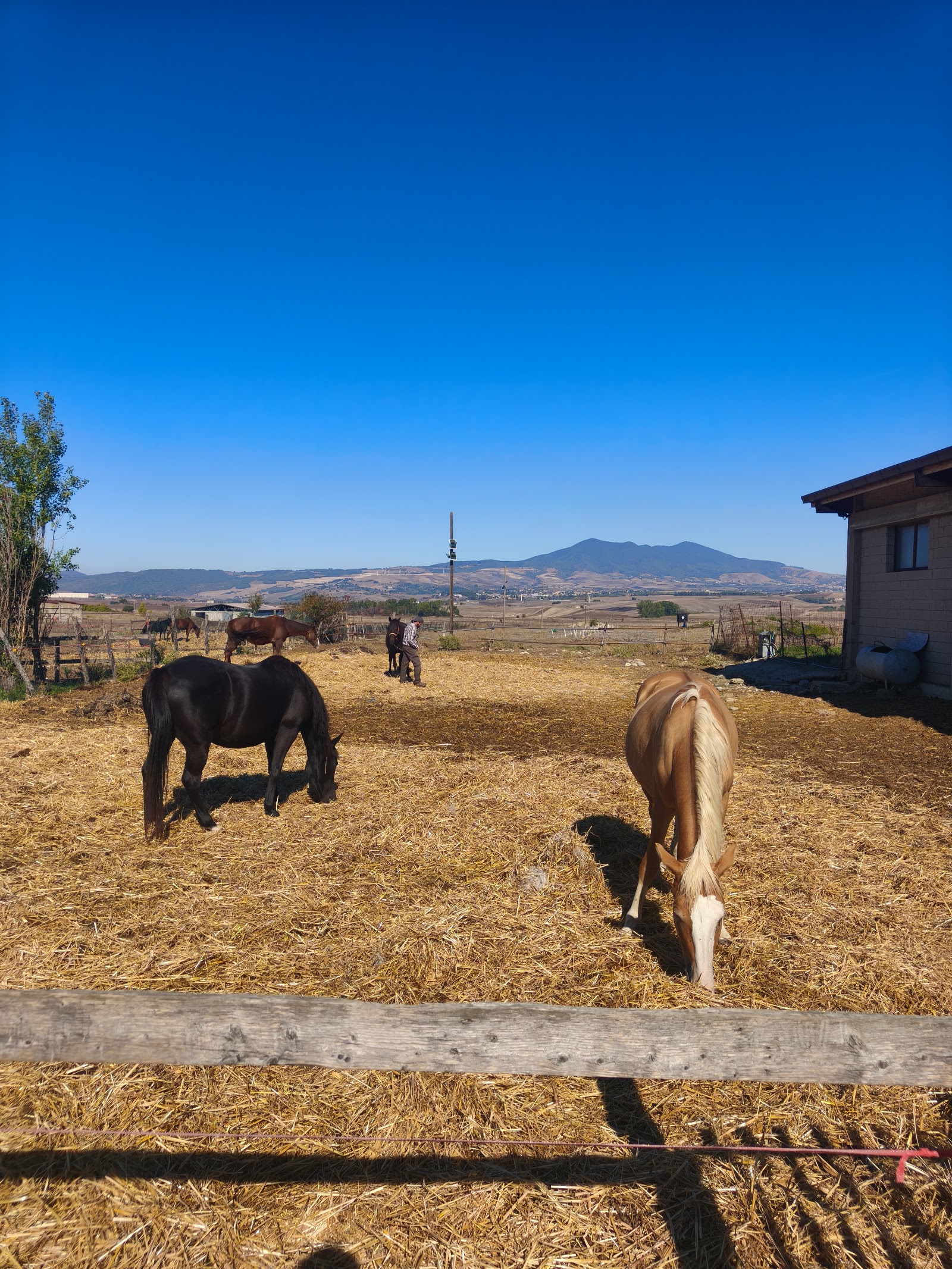 La Valle dei Cavalli