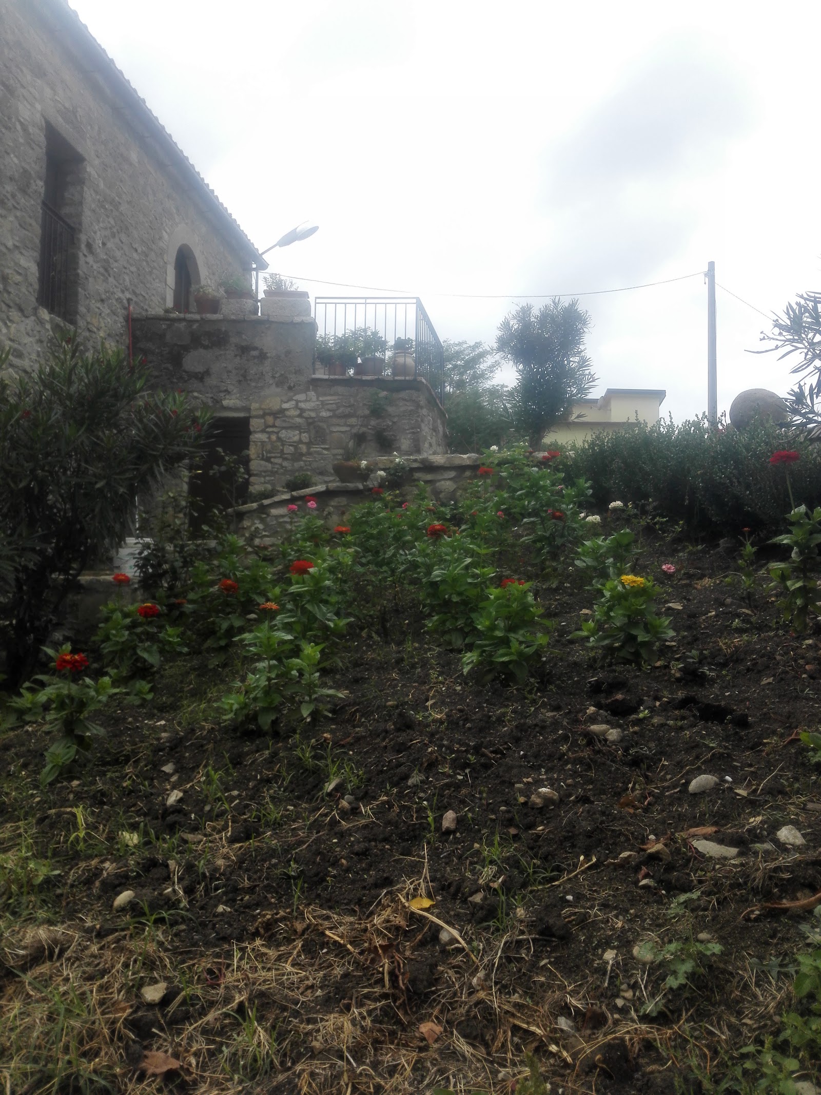 Agriturismo Masseria Brienza ( Senza Glutine).