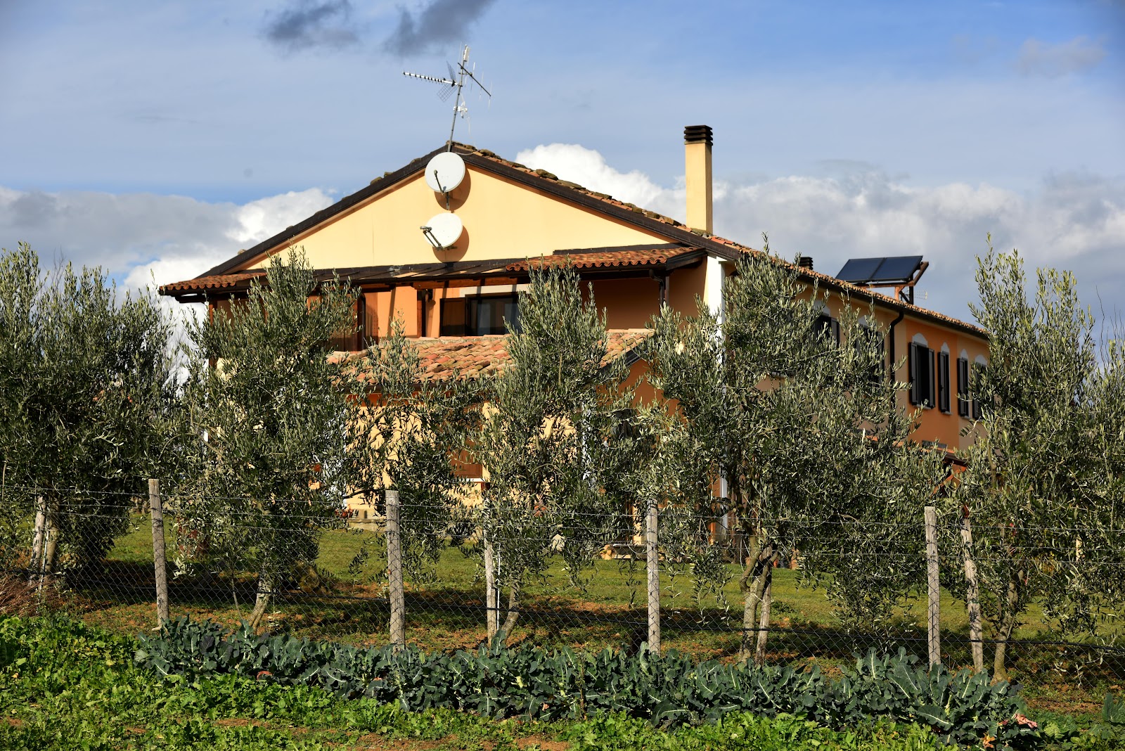 Bio Agriturismo Sant'Elia