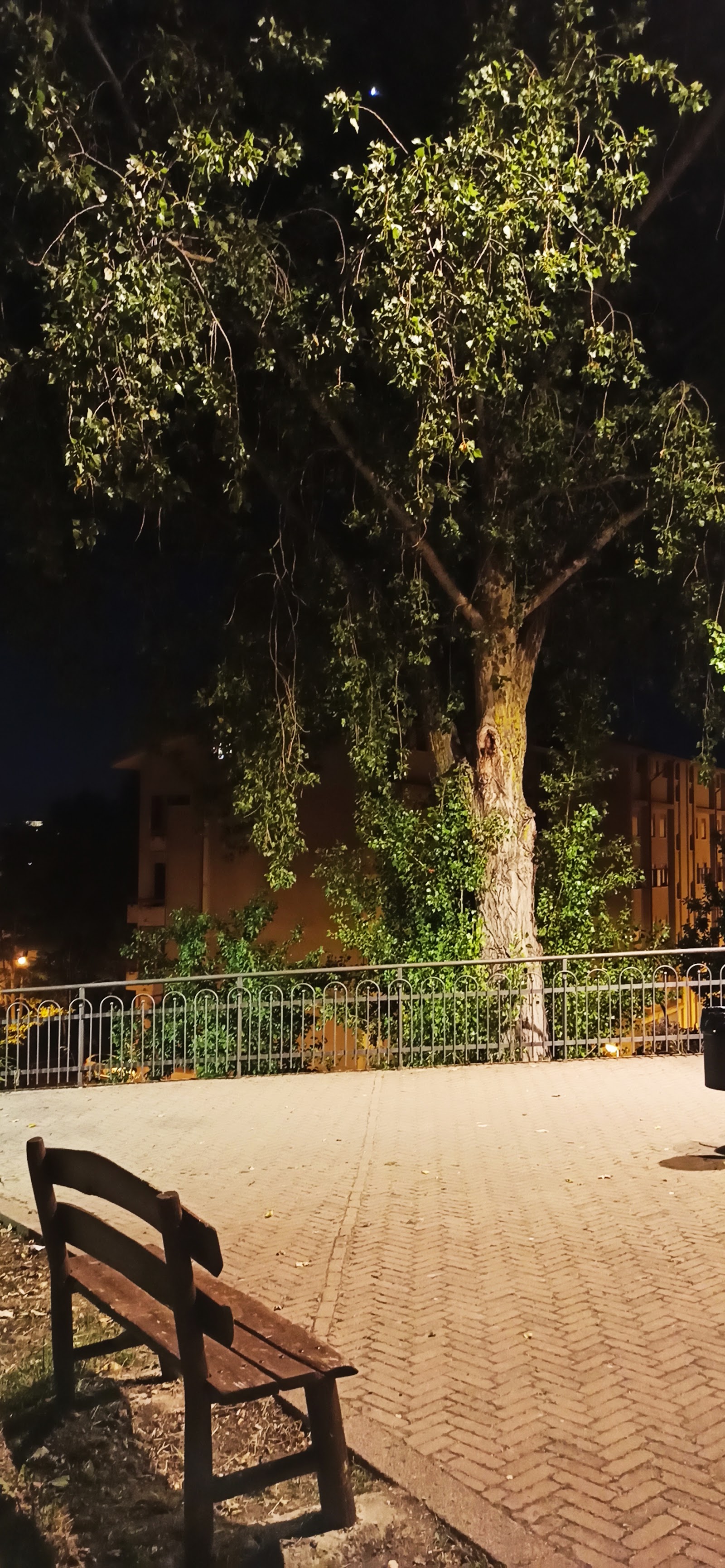 Caffetteria Al Parco