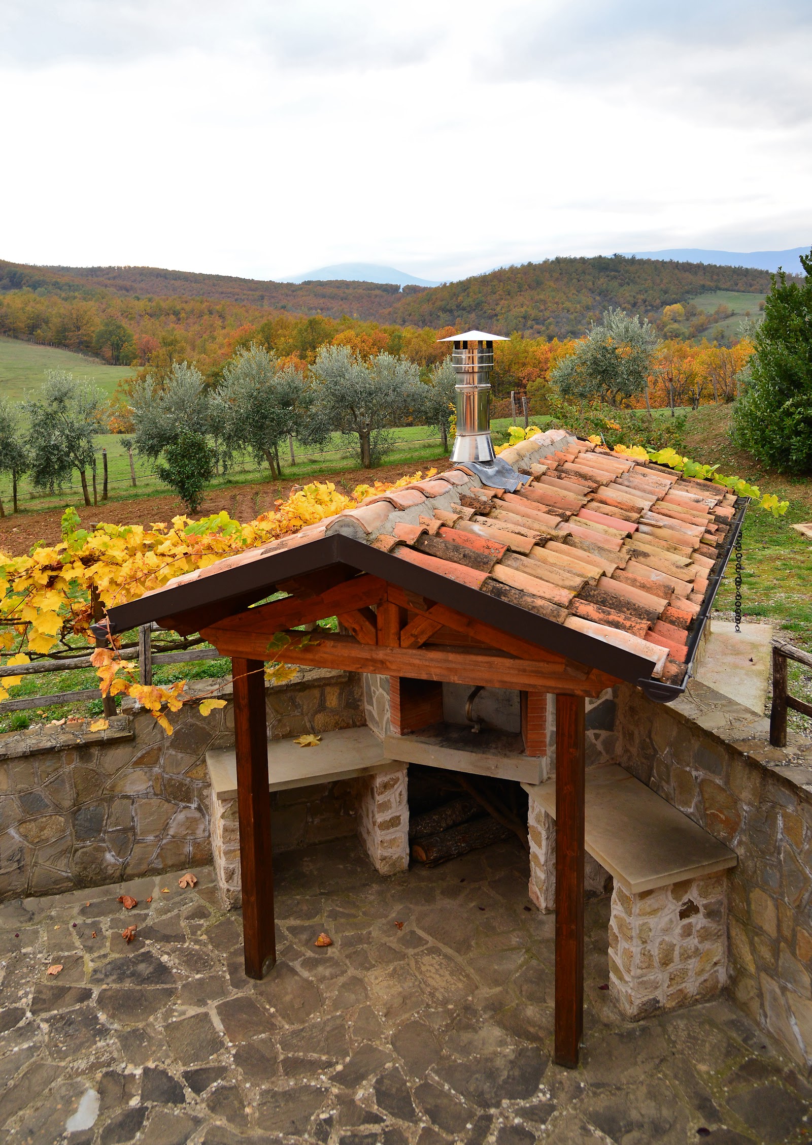 Bio Agriturismo Sant'Elia