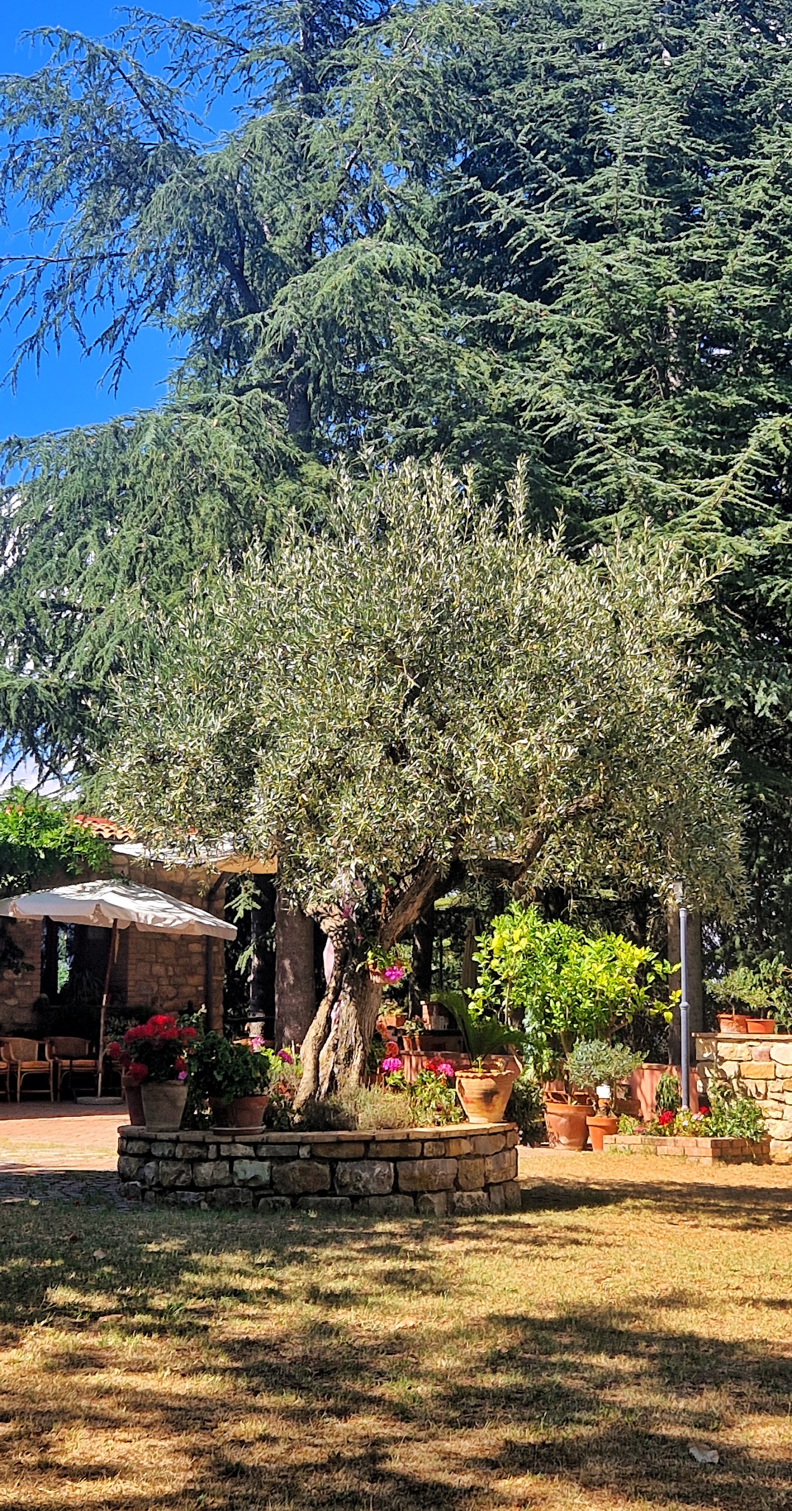 Locanda al Giglio d' Oro