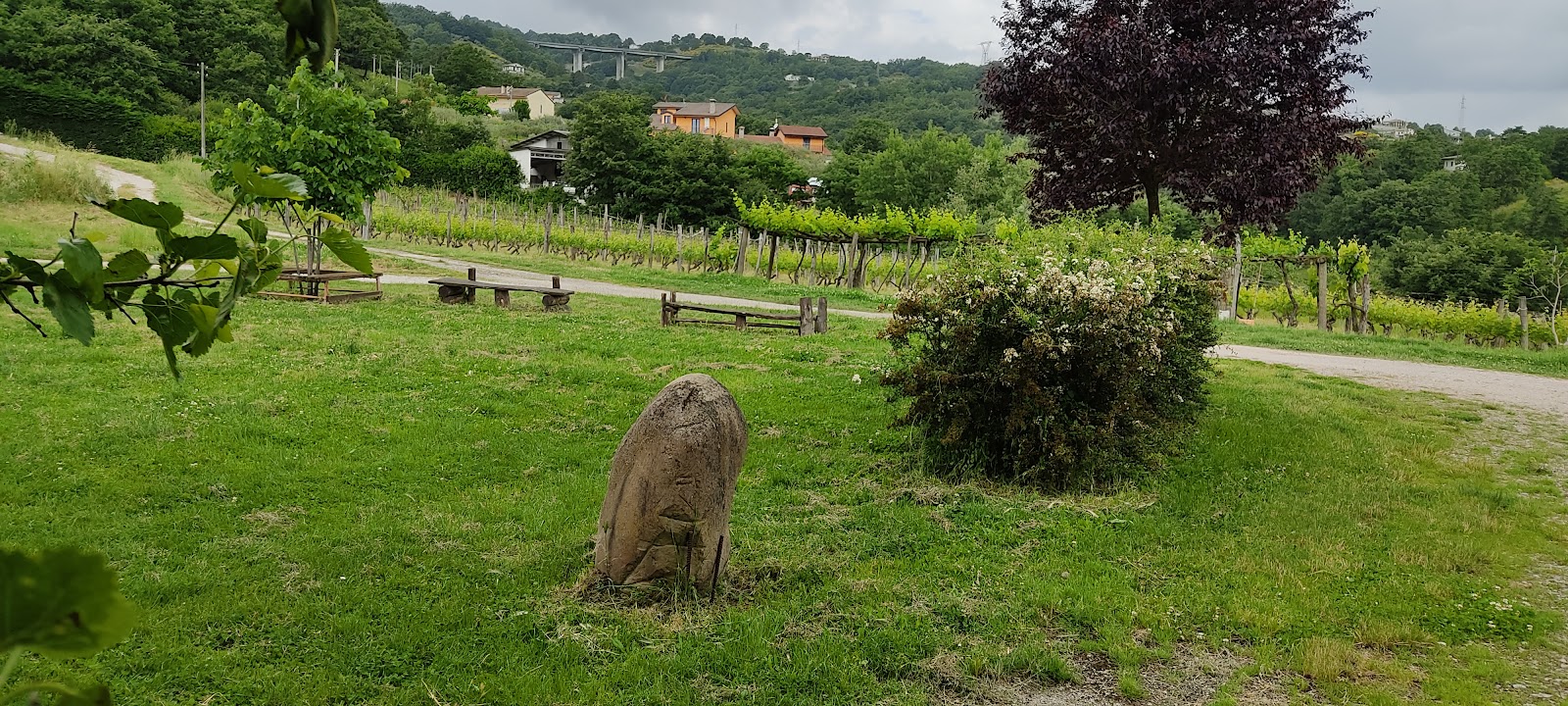 Agriturismo venetucci