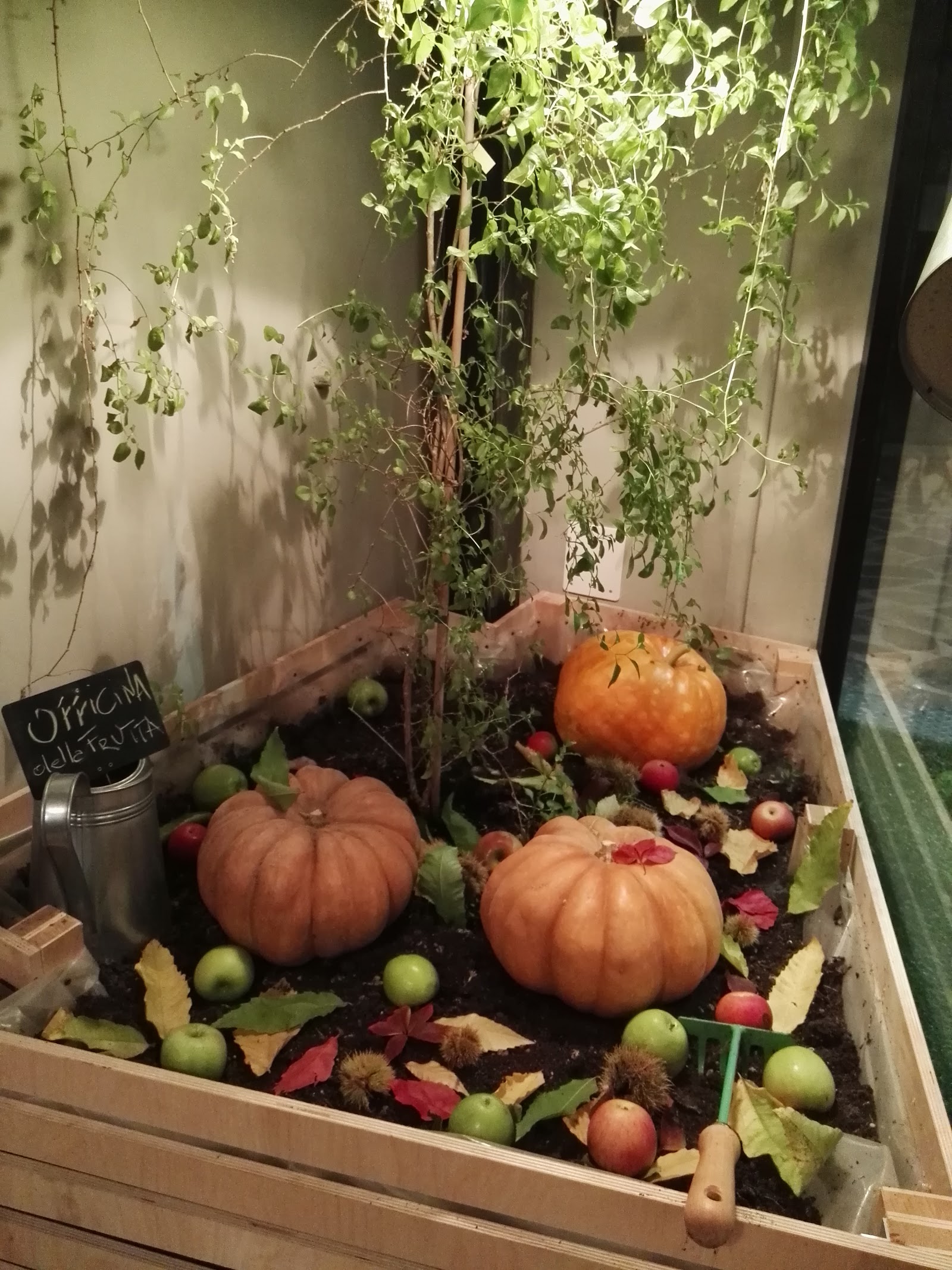 OFFICINA della FRUTTA - Insalateria di Potenza -