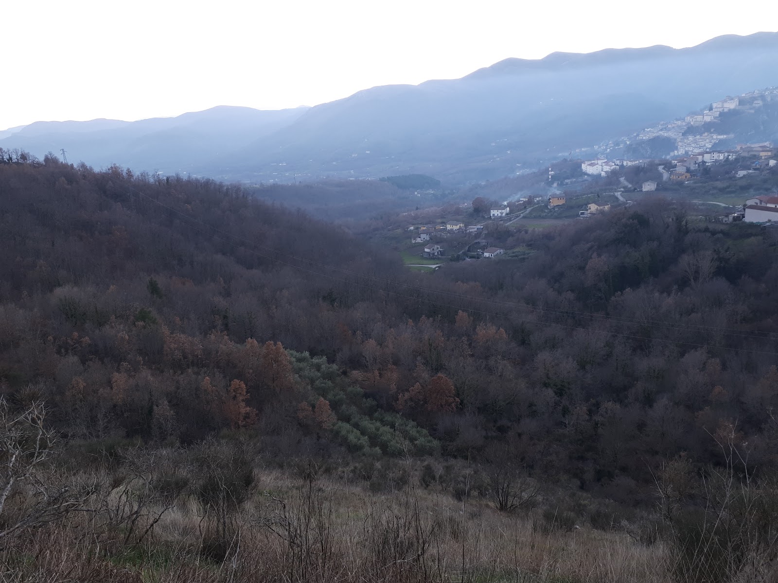 Ce.Pa. Di Pagliuca Salvatore & C. S.A.S.