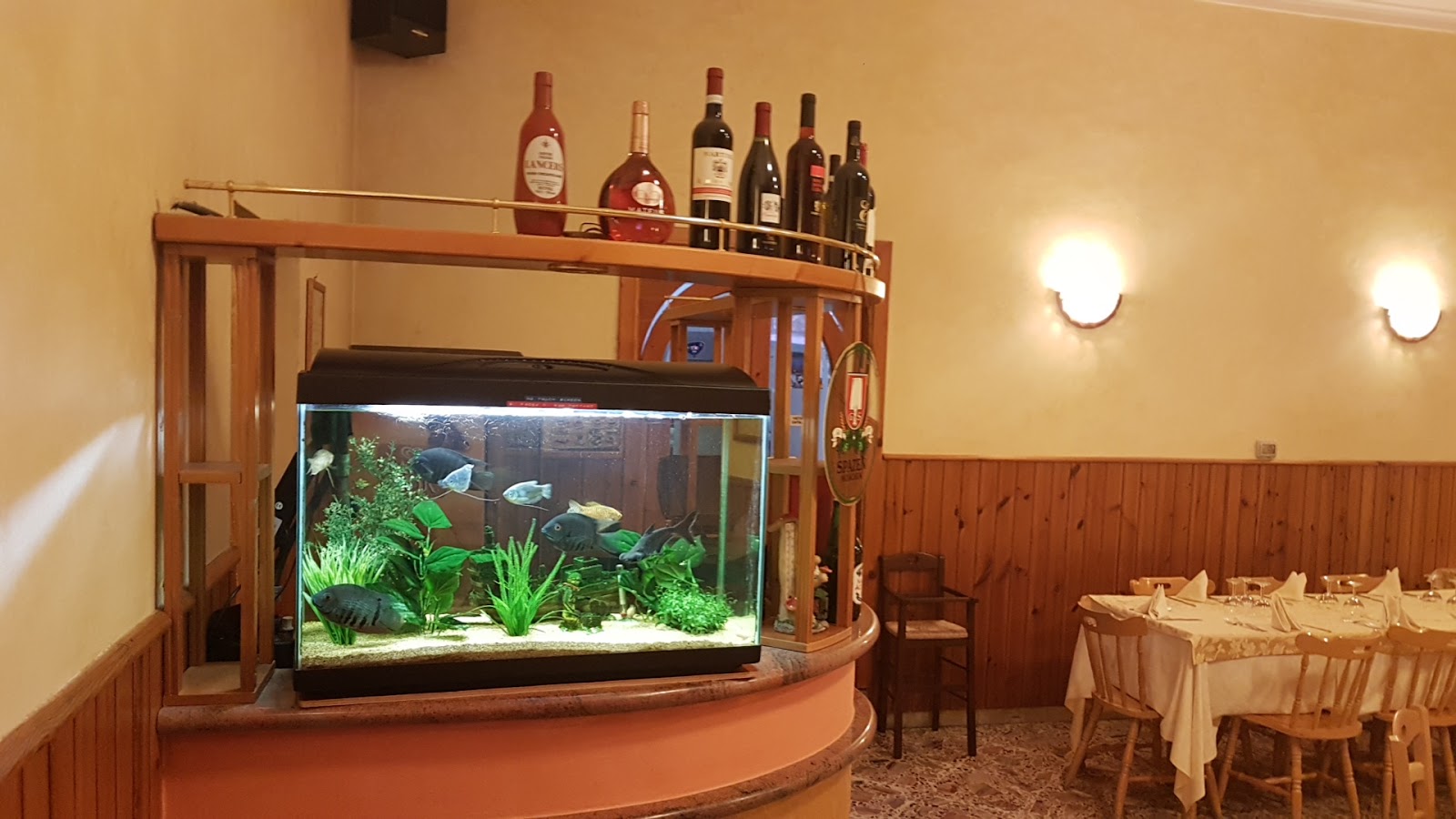 Ristorante Pizzeria 4 Luci