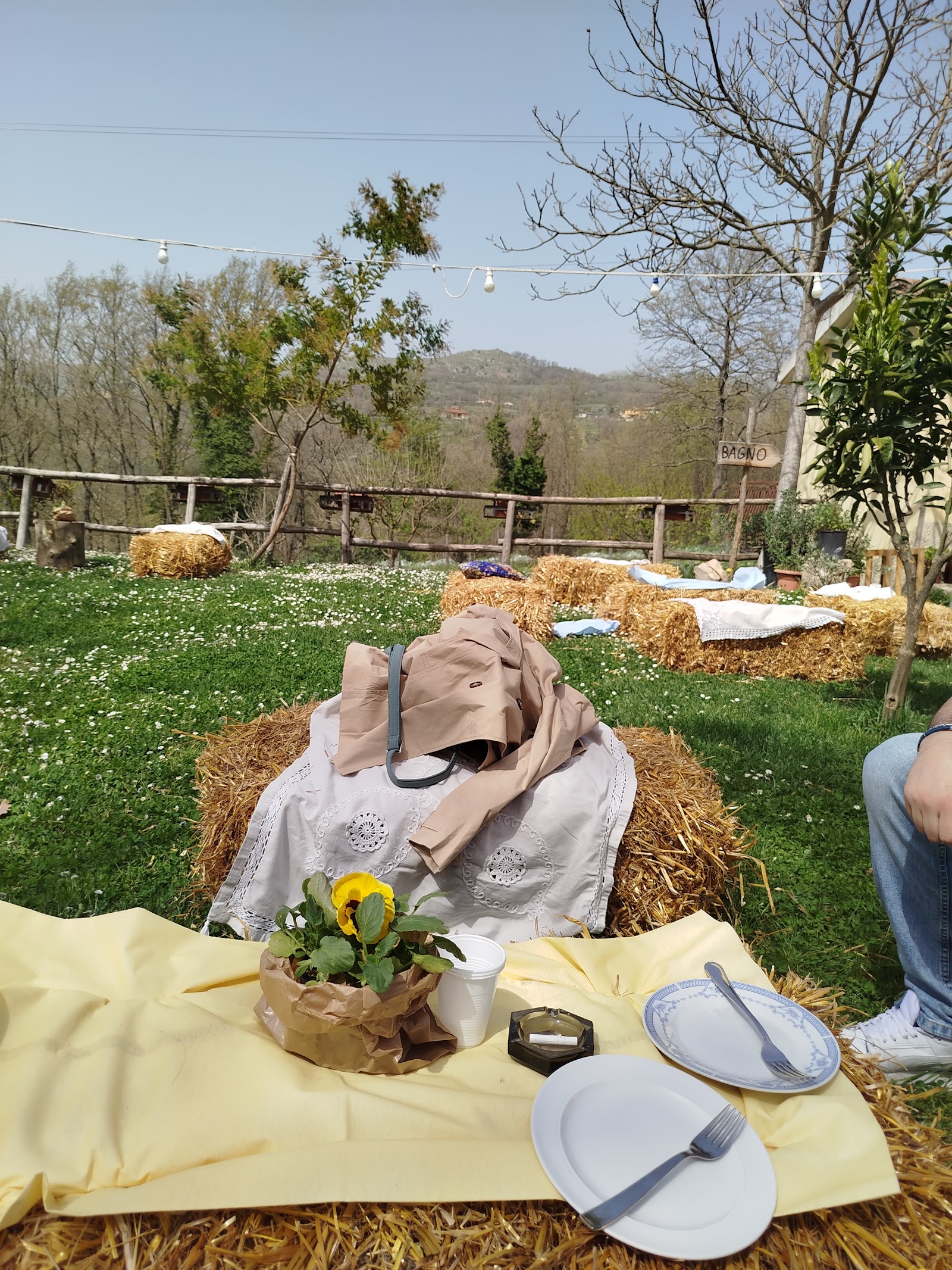 Azienda agricola papa