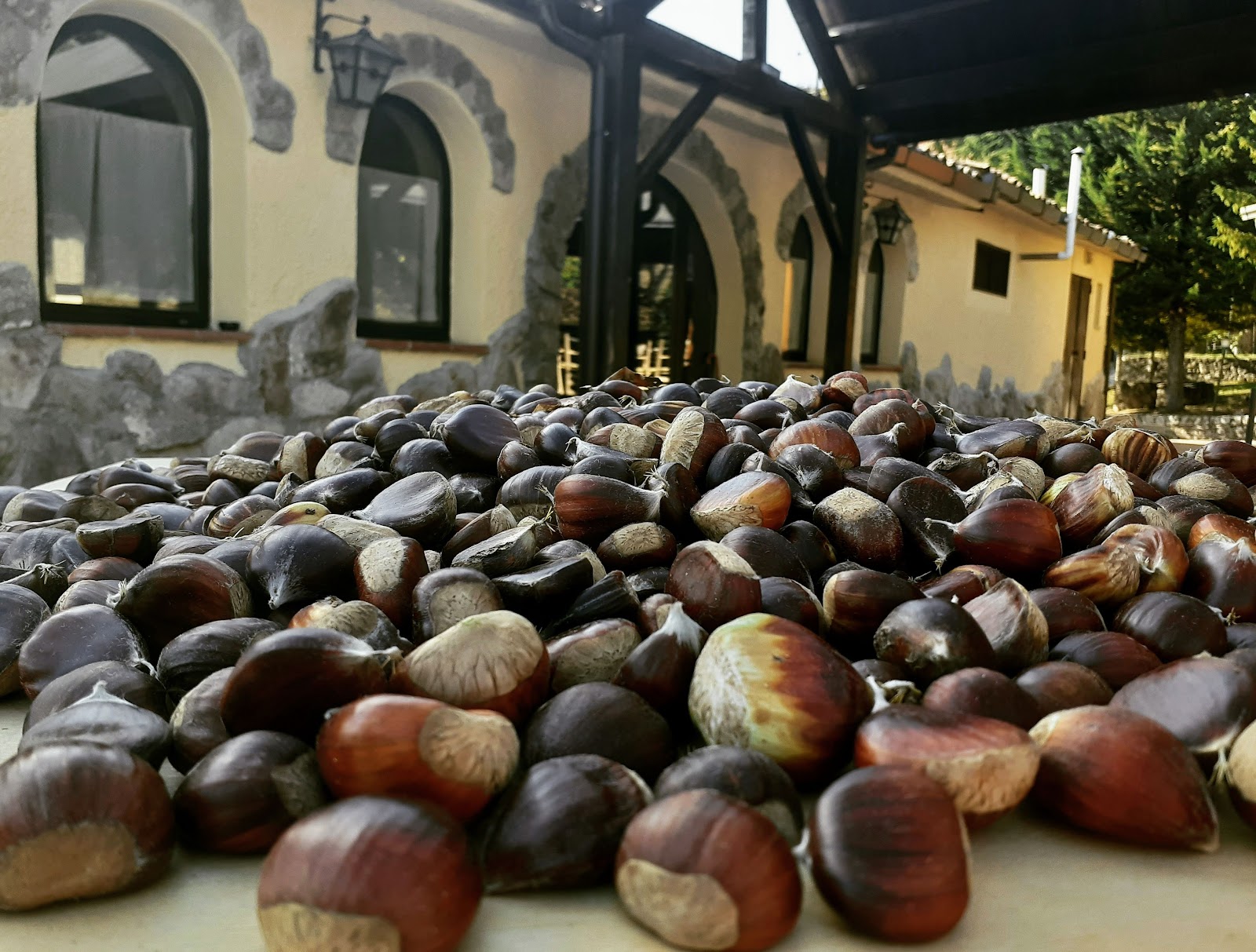 Sellata.Info Centro Escursioni