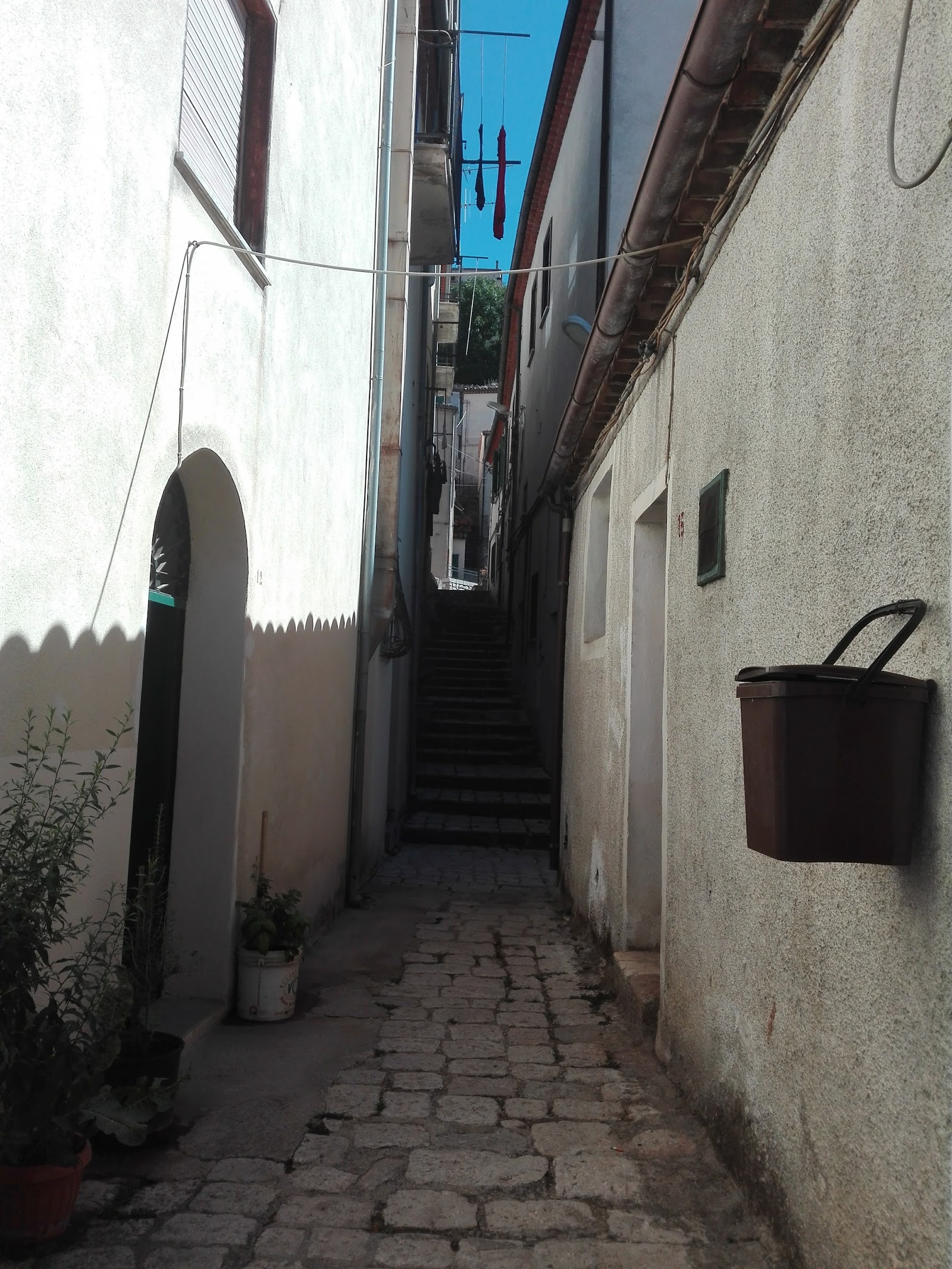 Bar Petillo Pasquale