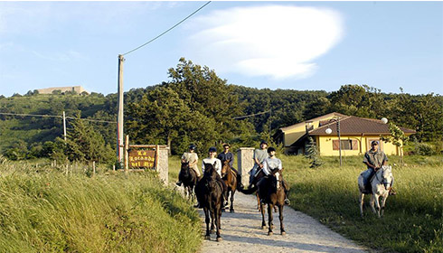 La Locanda del Re
