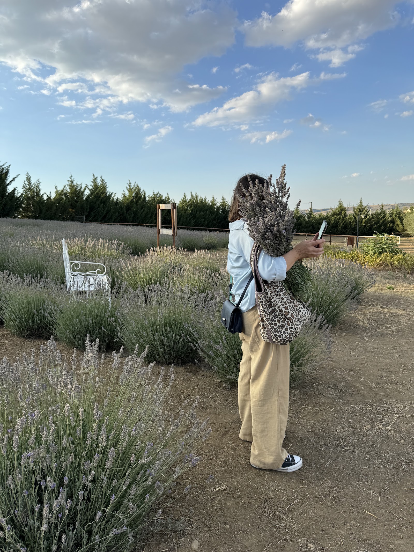 Masseria Ferrenti Il lavandeto di Anna