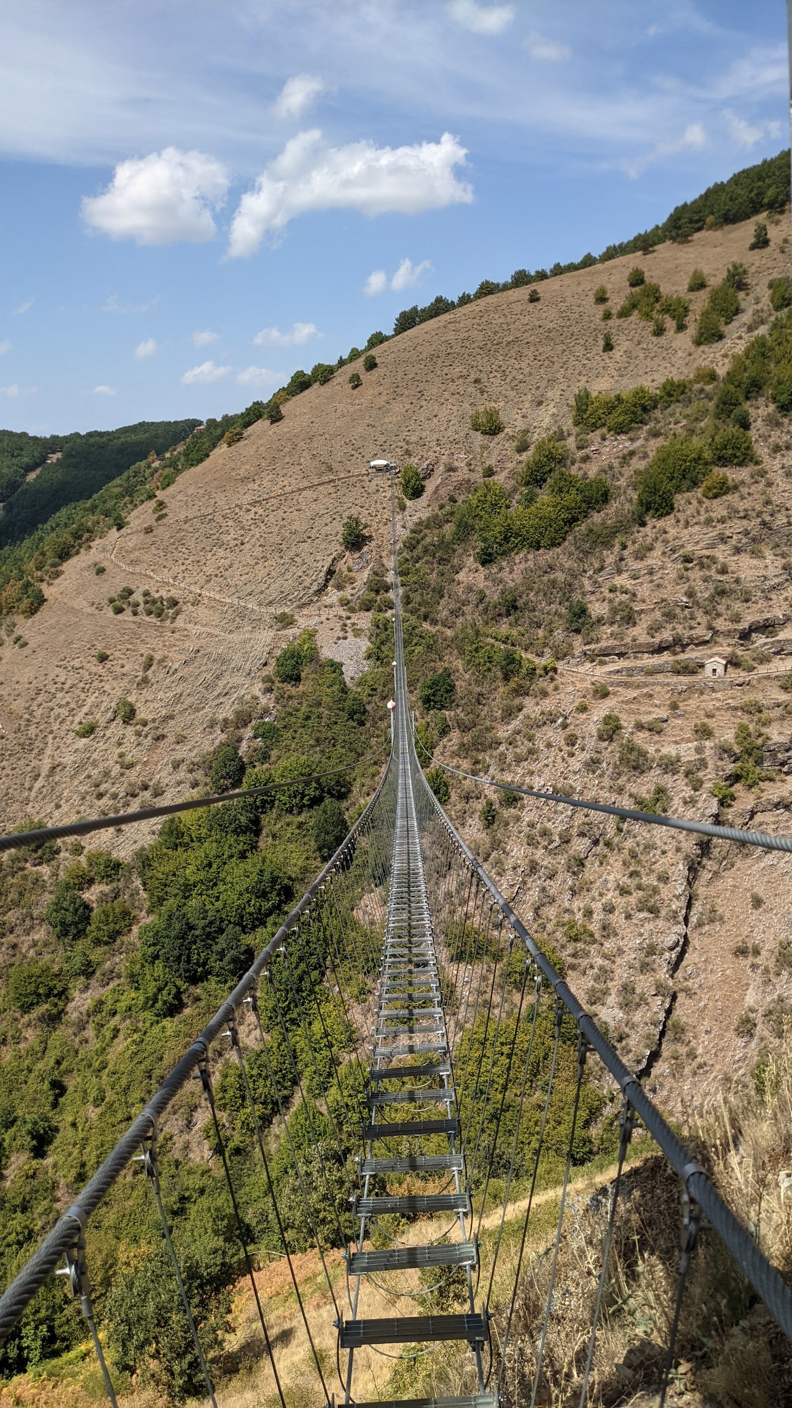 Ristorante Pizzeria '85