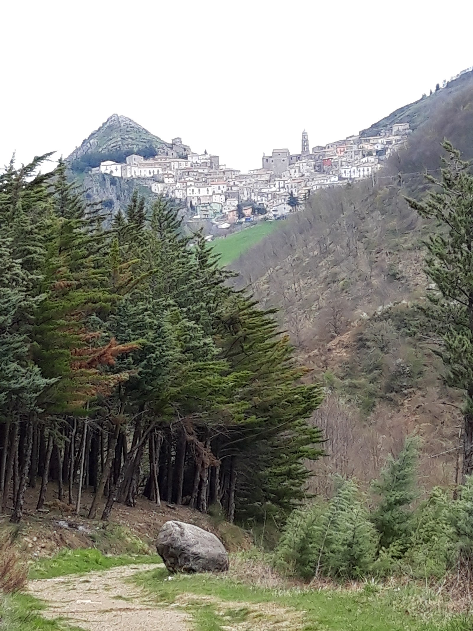 Bar Fasanella