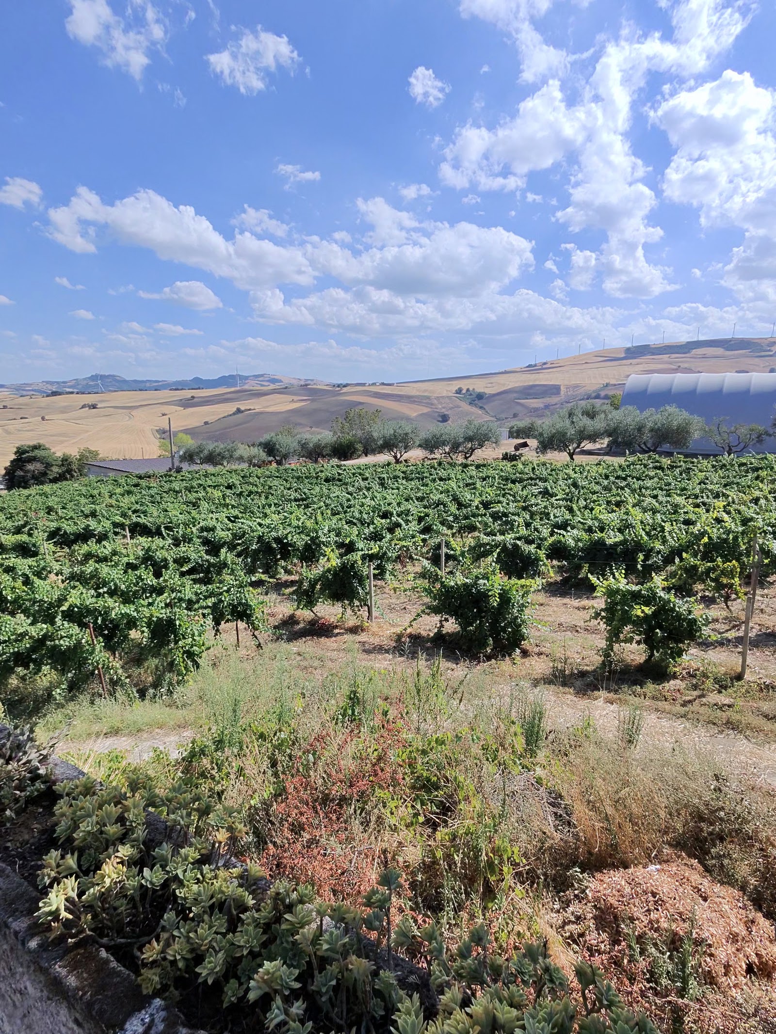 Agriturismo Tenuta San Giovanni