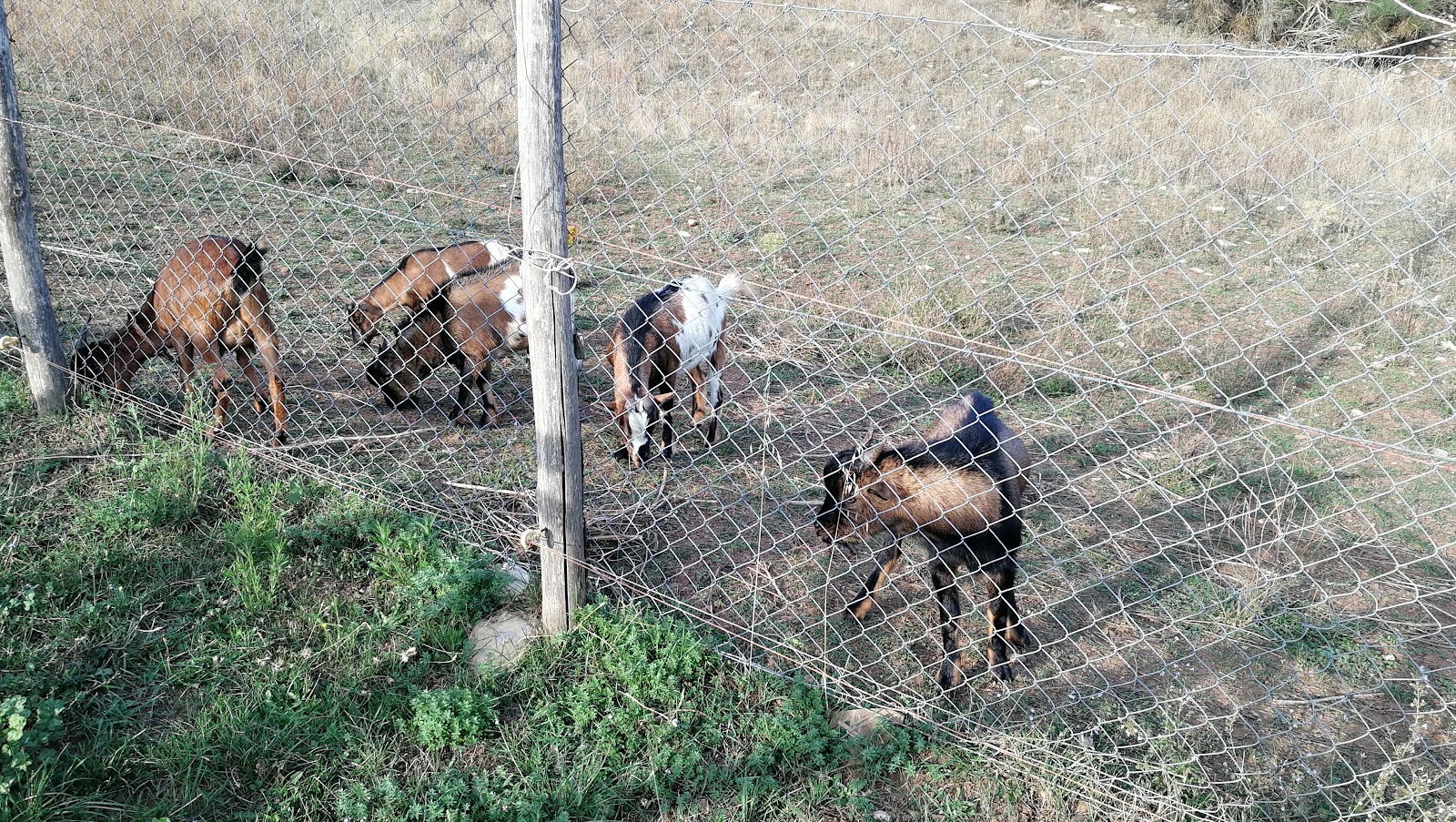 Agriturismo La Nevena